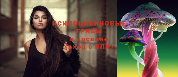 трава Медвежьегорск