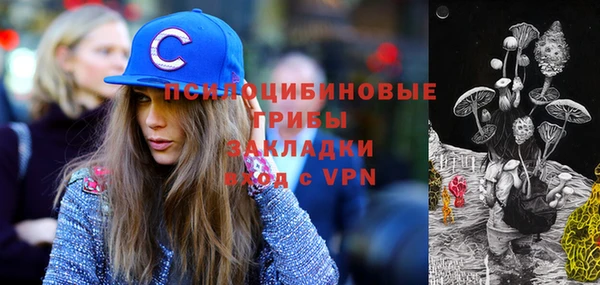 дурь Долгопрудный