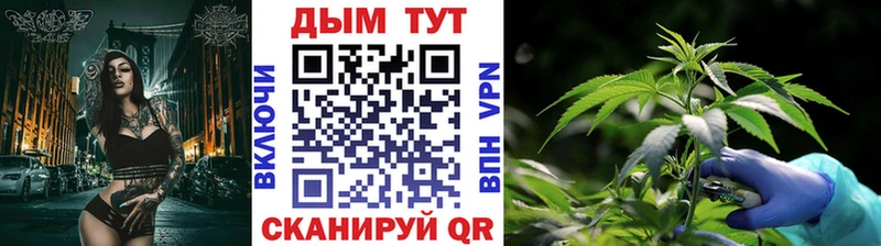 Конопля гибрид  как найти   Бавлы 